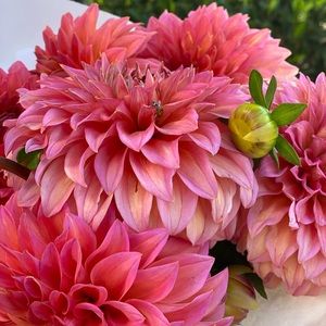 Make an offer! Bundle!